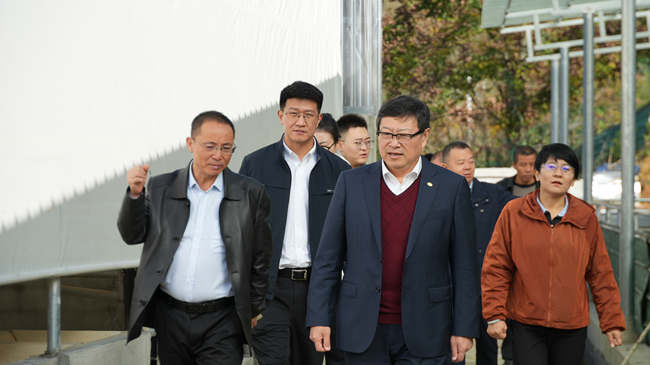 中国有研党委副书记、总经理艾磊赴贵州省思南县调研集团定点帮扶工作