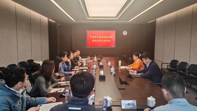 中国有研团委召开2025年度团组织书记述职会
