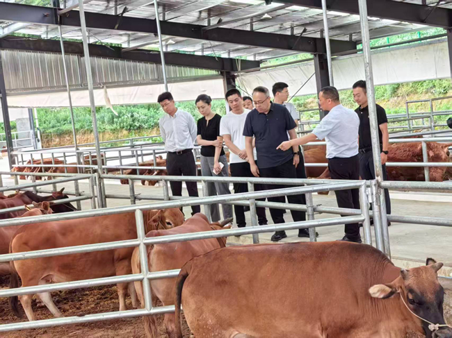 中国有研党委委员、纪委书记唐学智赴思南县调研定点帮扶工作并接送挂职干部